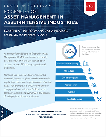 FS Infor EAM Infographics India