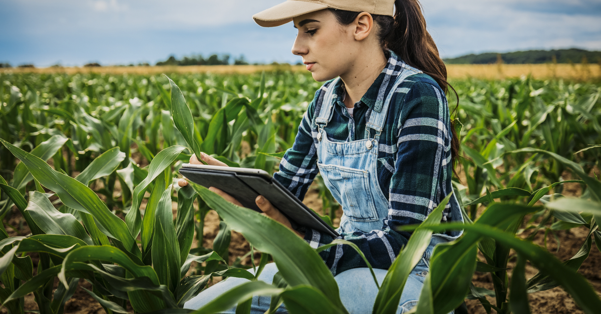 AI yield optimization in food manufacturing | Infor