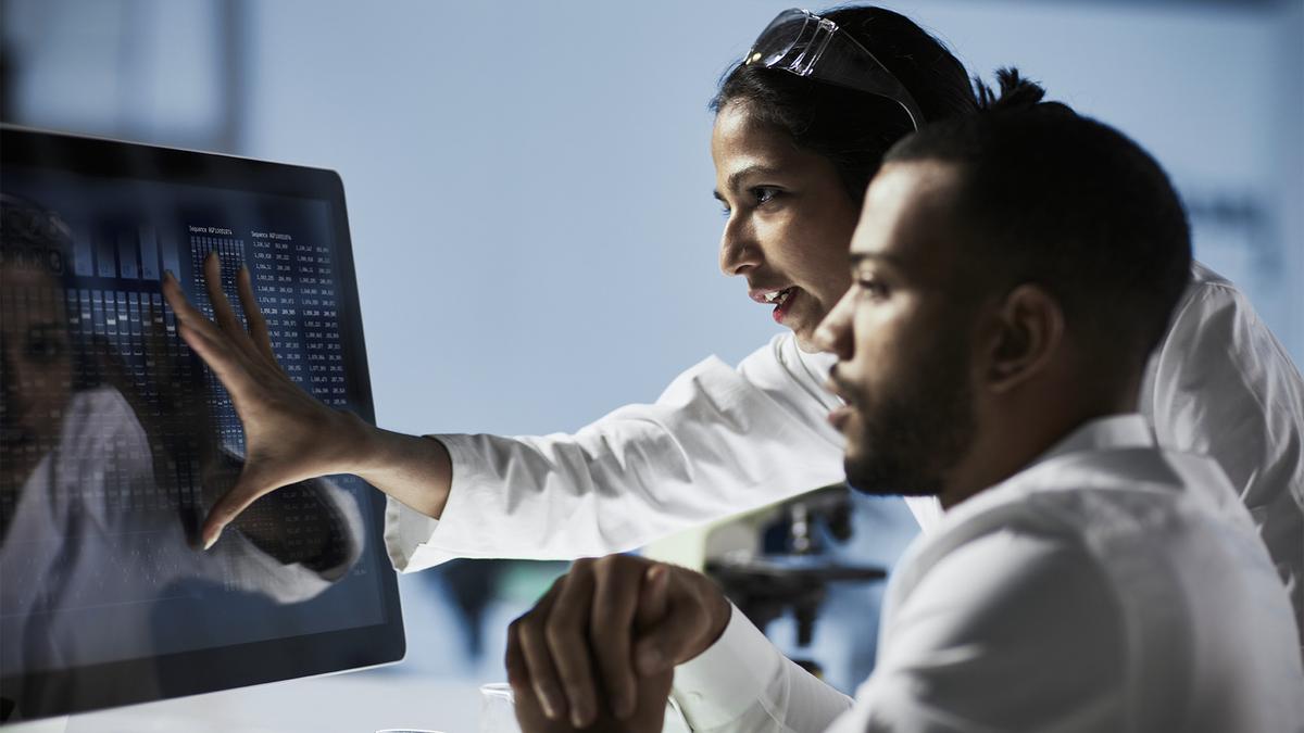 Colleagues using modern ERP software on a touchscreen 