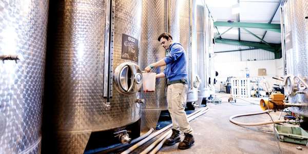 Sampling fermentation tanks brewery 