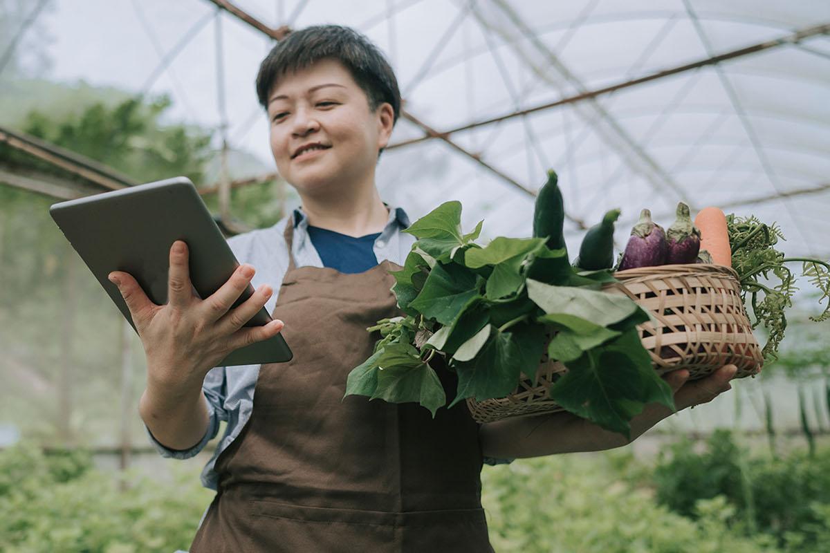 Produce farmer with a basket of vegetables in a greenhouse