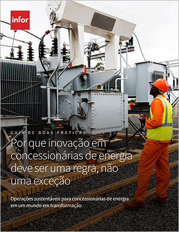 th Endries improves warehouse processes and worker productivity with Infor WMS Case Study Portuguese Brazil 457px