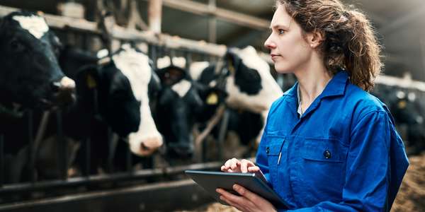 woman-using-digital-tablet-working-cow-farm-dairy-meat-PortraitIso-FoodBev_Getty_1600x800