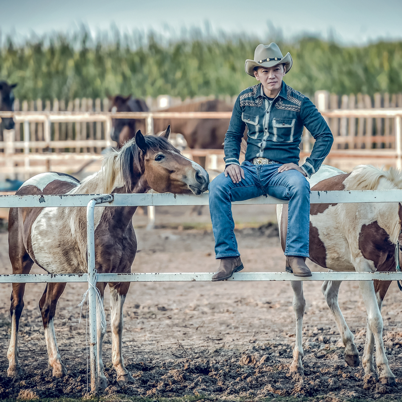 Young cowboy sitting while feeding horses