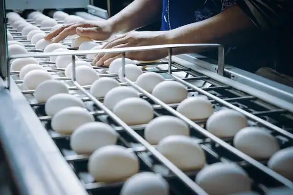 Assembly line in an industrial bakery 