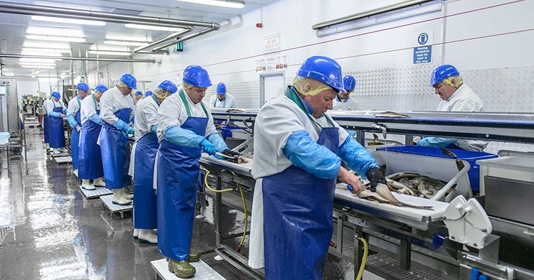 Lavoratori all’opera in uno stabilimento per la lavorazione del pesce