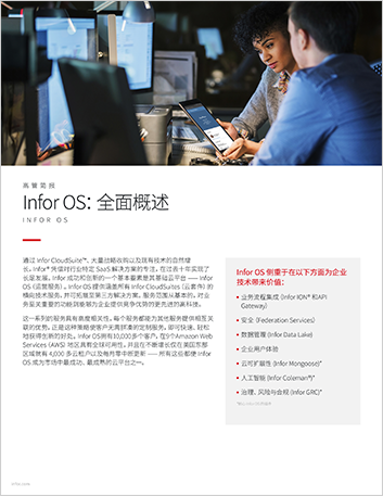 th Infor OS A complete overview Executive Brief Chinese Simplified