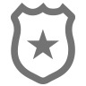 public safety icon