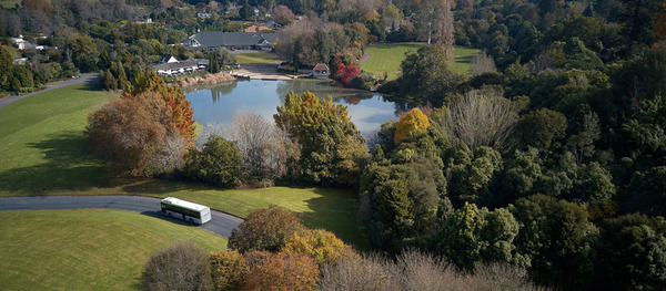 Waikato, New Zealand, pond and countryside