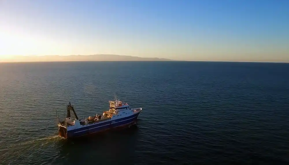 Sealord customer video 