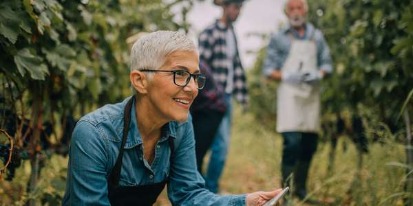 Trabalhadores agrícolas usando software ERP para alimentos em um tablet para otimizar o rendimento da cultura e fornecer melhores previsões.