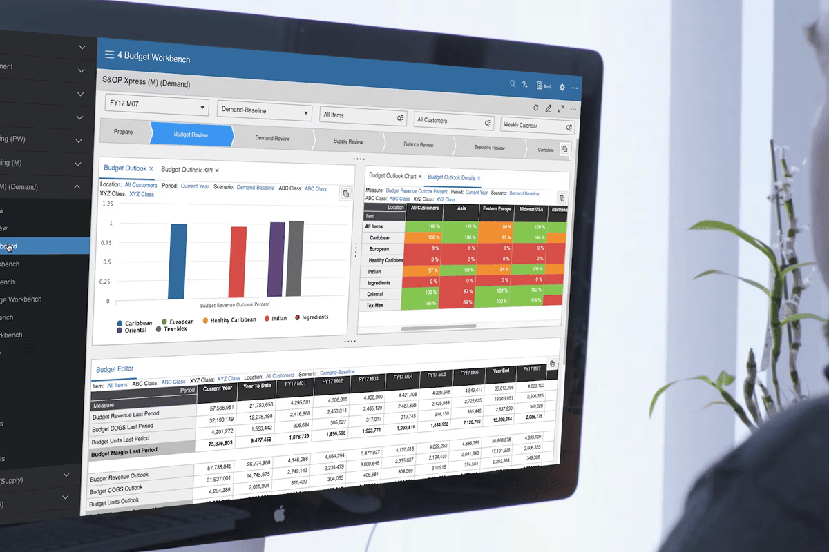 Infor Integrated Business Planning demo 