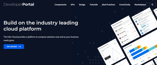 Developer Portal homepage