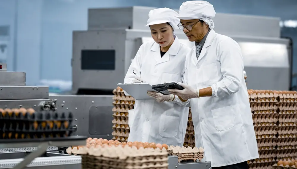 2155597573 Ensure the quality
  of eggs is always clean and fresh Getty Edited tif