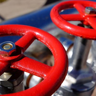 red valves