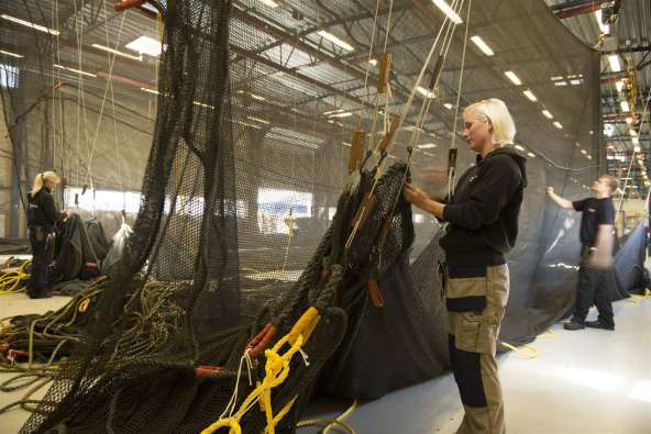 photo of workers tending to fishing lines