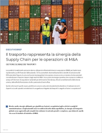 th Transportation is the   forgotten M A supply chain synergy Executive Brief Italian