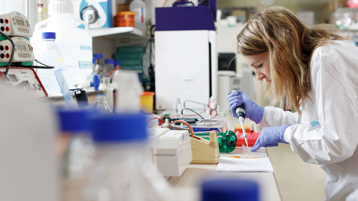 Scientist working in a lab