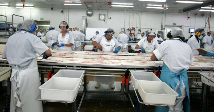 Sealord fish factory
