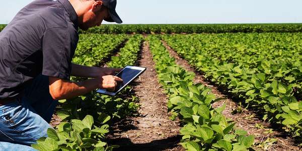 Farm worker using cloud-based food and beverage erp solutions to get enterprise-wide visibility and  supply chain transparency.