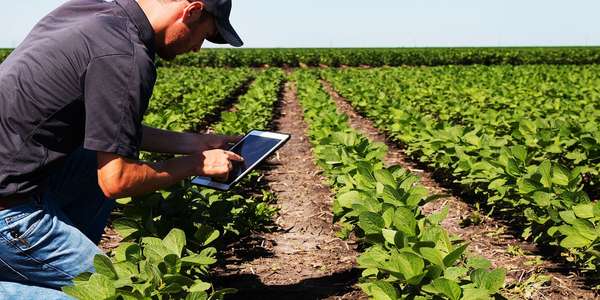 Los trabajadores agrícolas con ERP basado en la nube para alimentos y bebidas obtienen visibilidad en toda la empresa y transparencia en la Supply chain.