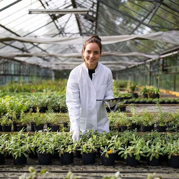 jardin en pleine croissance