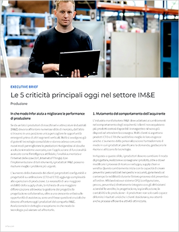 th The top 5 issues in IM and   E today Executive Brief Italian