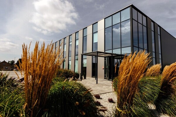 glass building landscaping grasses