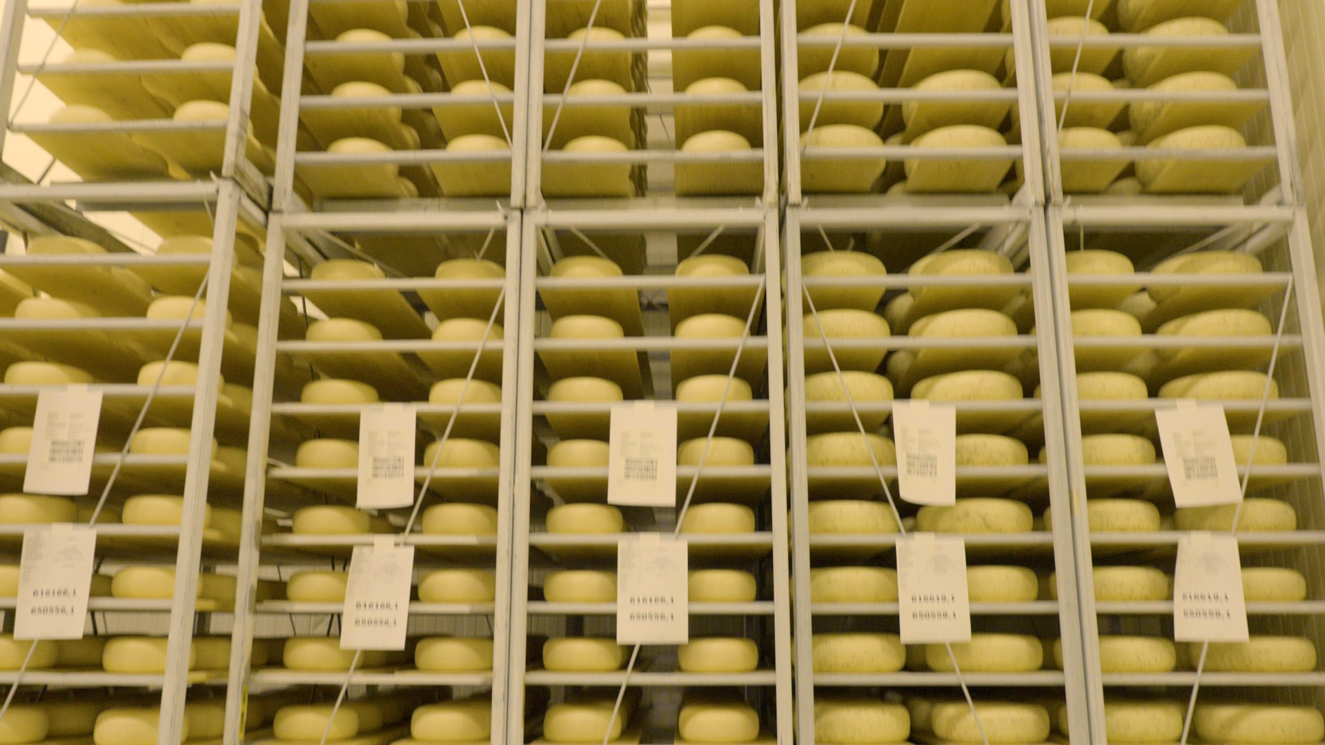 amalthea cheese aging racks.