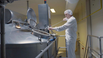 Worker testing raw milk in a dairy plant