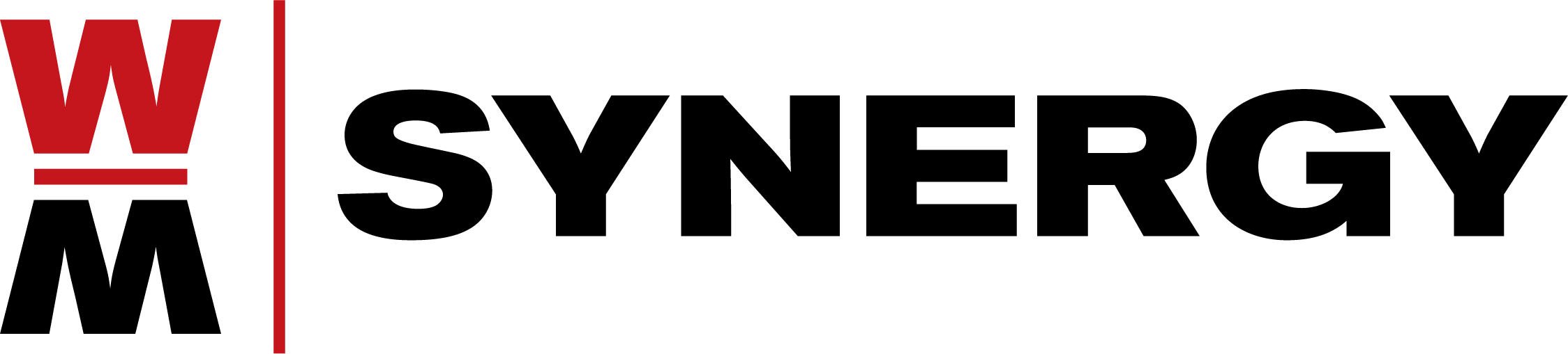 Logotipo de Synergy