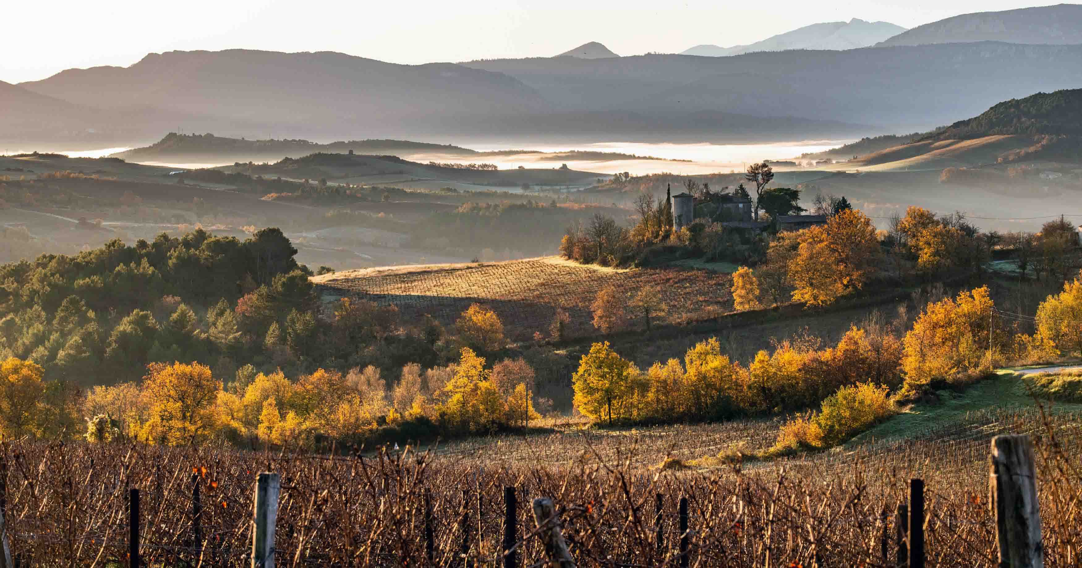 landscape photo of a winery in the countryside