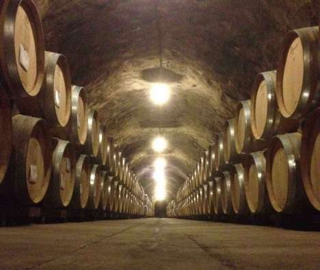 inside of a dark wine cellar with multiple barrels of wine