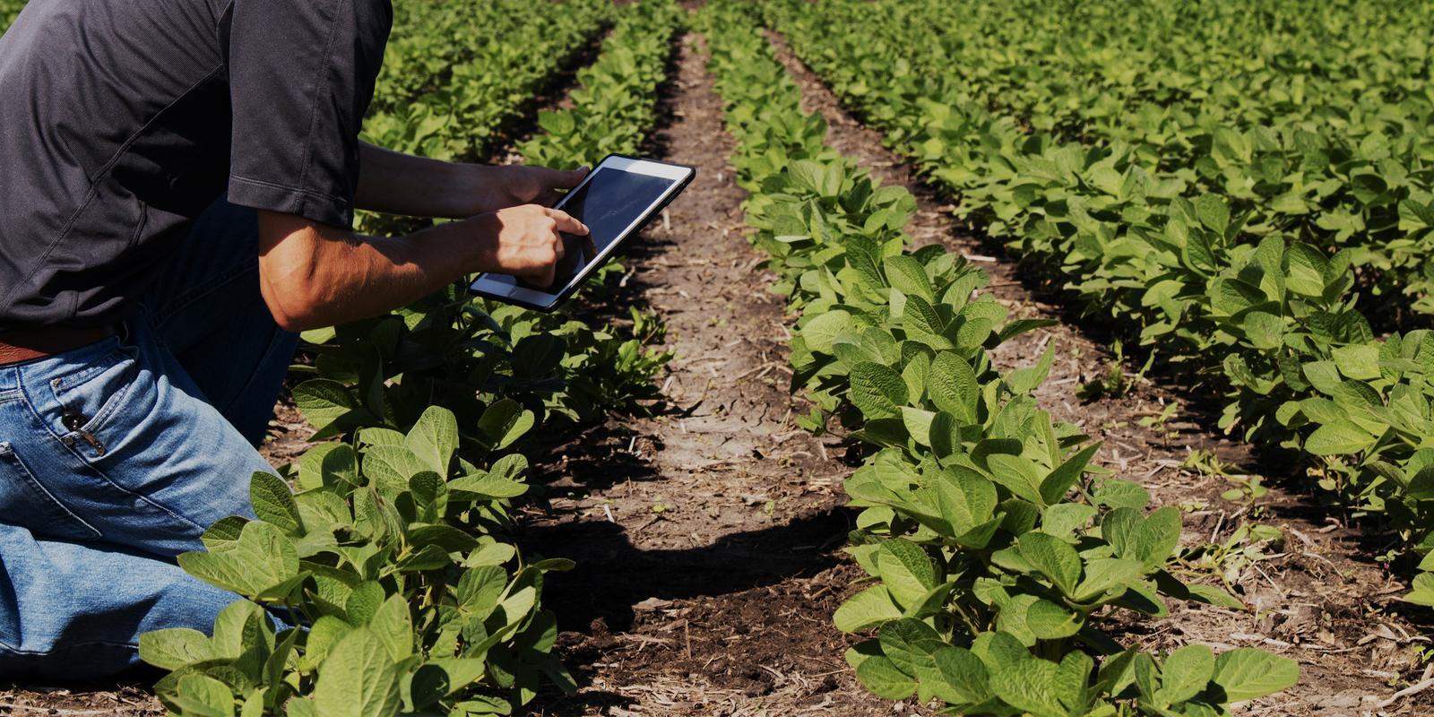 Farming tech tablet