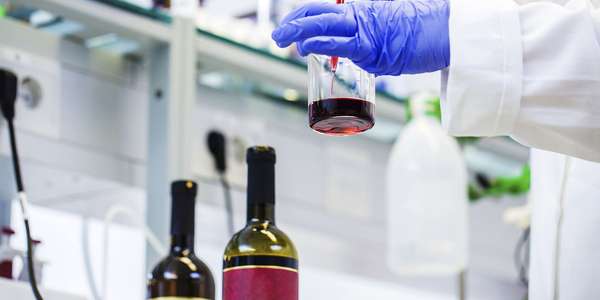 females researcher preparing a sample of red wine