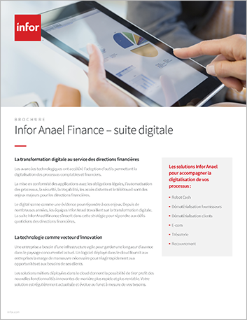 th Anael Finance transformation digitale   Brochure French France.png