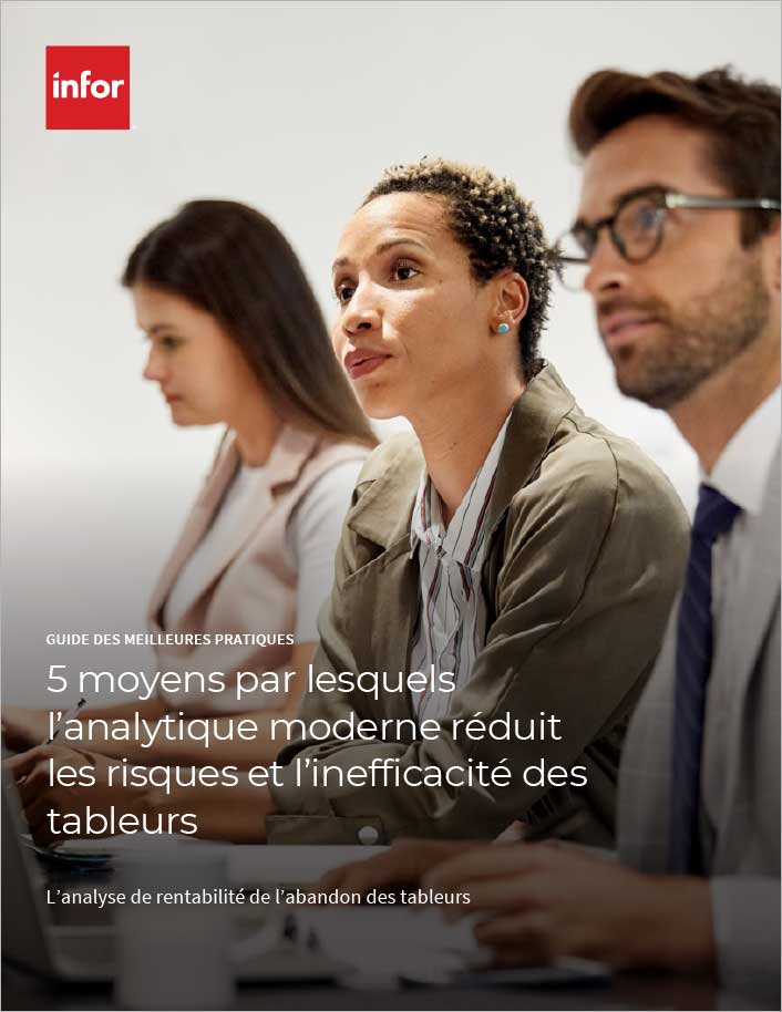 Five ways modern analytics reduce
  spreadsheet risk and inefficiency Best Practice Guide French 457px