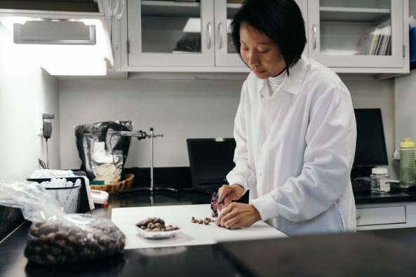 cook making a meal at a home kitchen