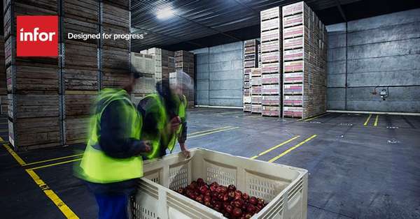 709128355 food warehouse inspection   workers apples distribution ln752x393