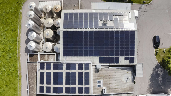 creamery rooftop covered in solar panels 