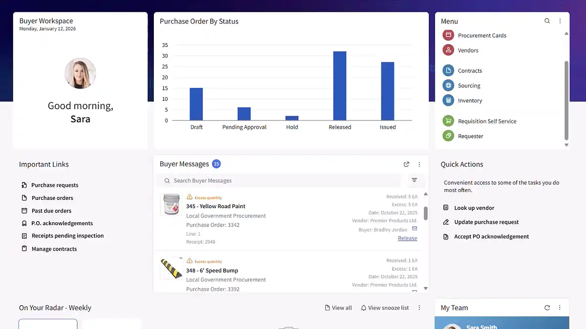 Infor public sector AI software demo showing requisition anomaly detection for government procurement