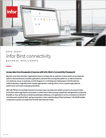 Infor Birst connectivity Data Sheet English