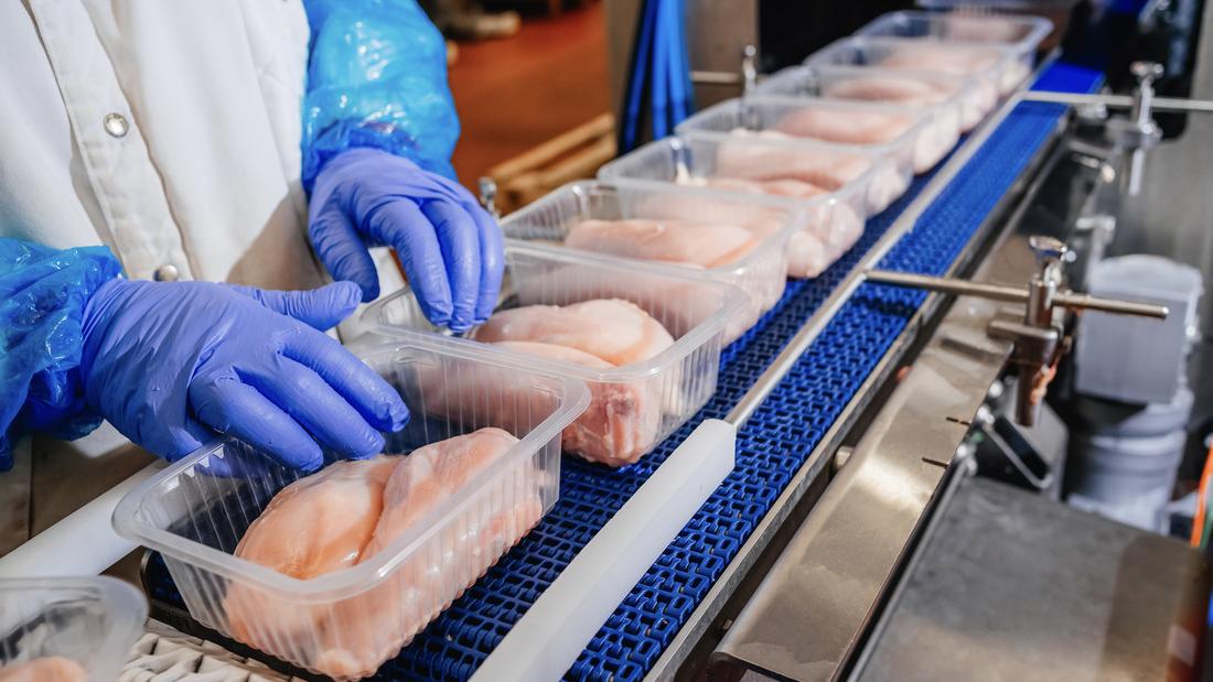 chicken production assembly line