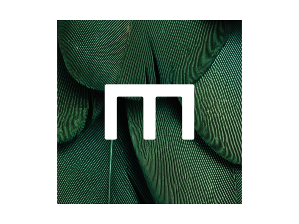 Meyn Logo 600x450px png