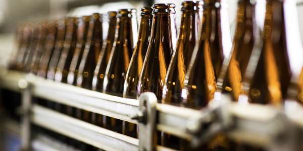446404 bottles brewery beer conveyor manufacturing Stocksy