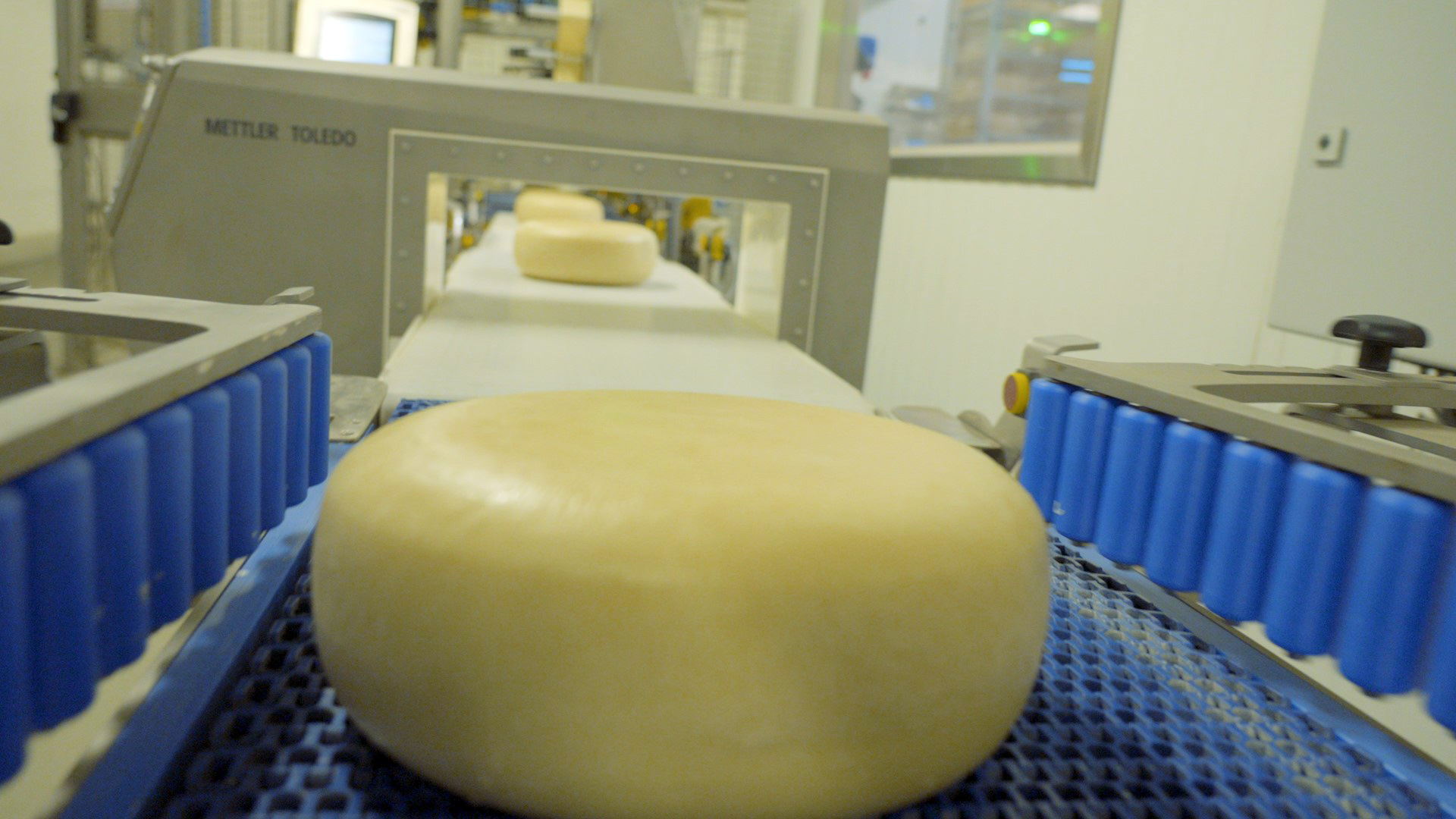 Amalthea cheese conveyer