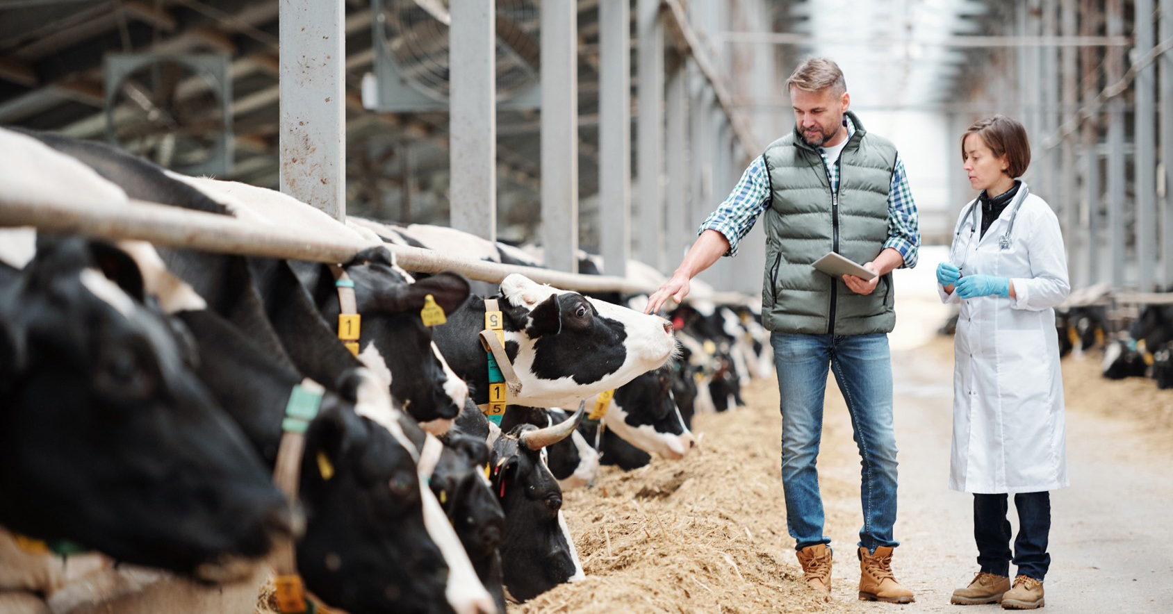 AB Agri Chooses Infor to Drive Digital Strategy for Growth