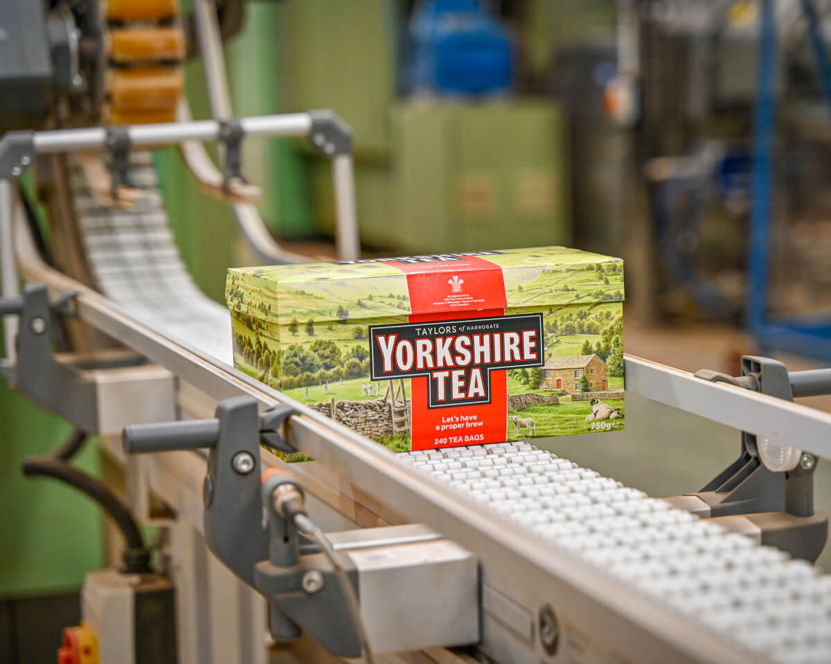 Taylors of Harrogate box of tea on conveyor belt