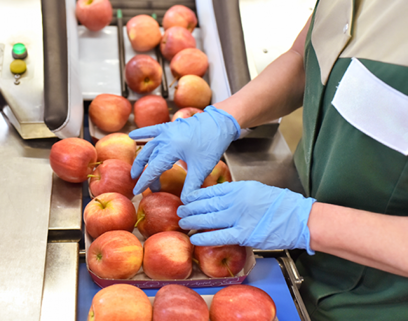 industria de alimentos y bebidas