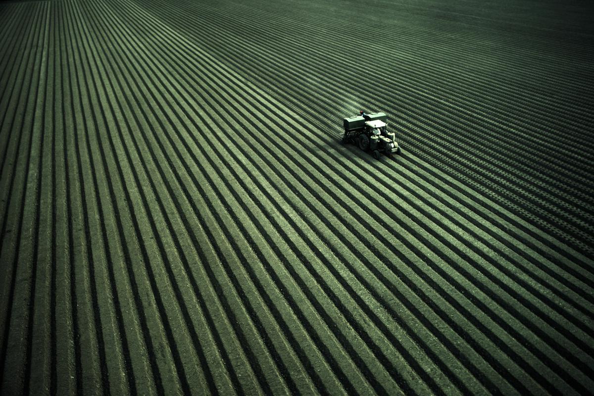 Tractor planting crops